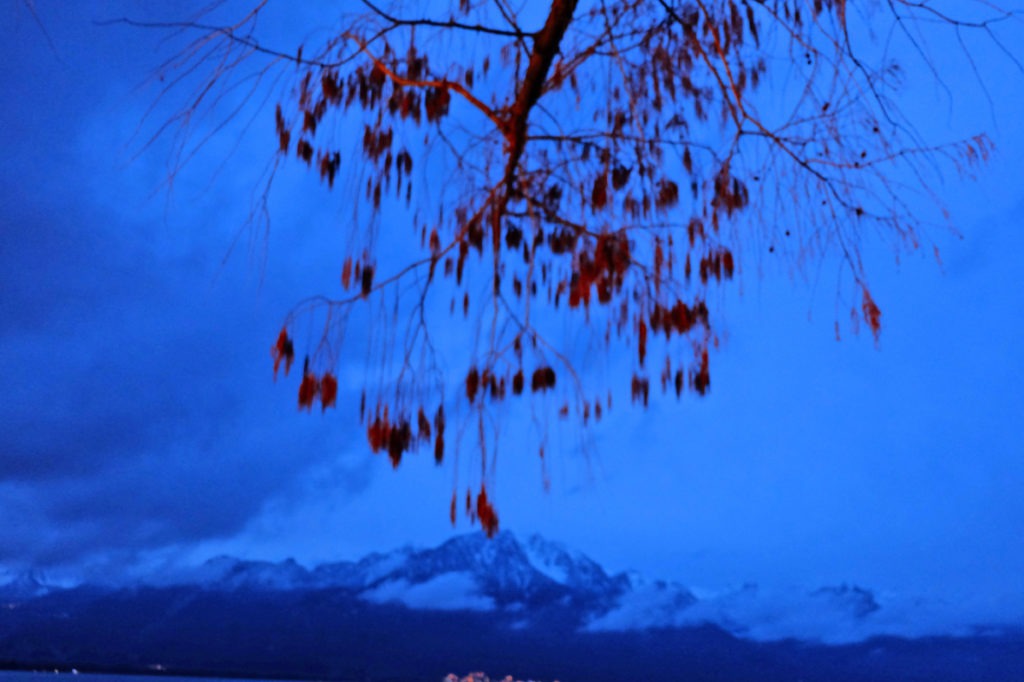 Carla Bordini Bellandi