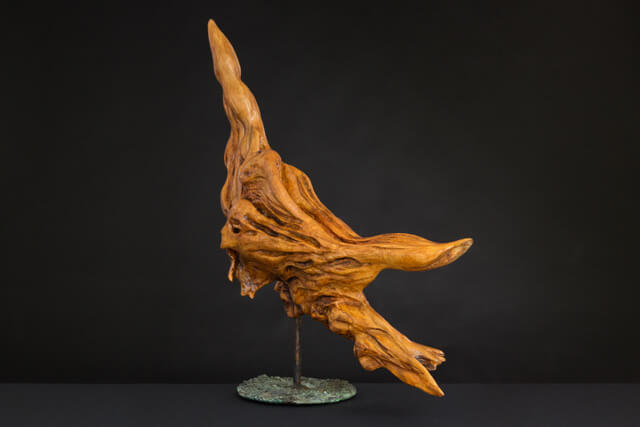 Matilde Mancini, le ali della materia