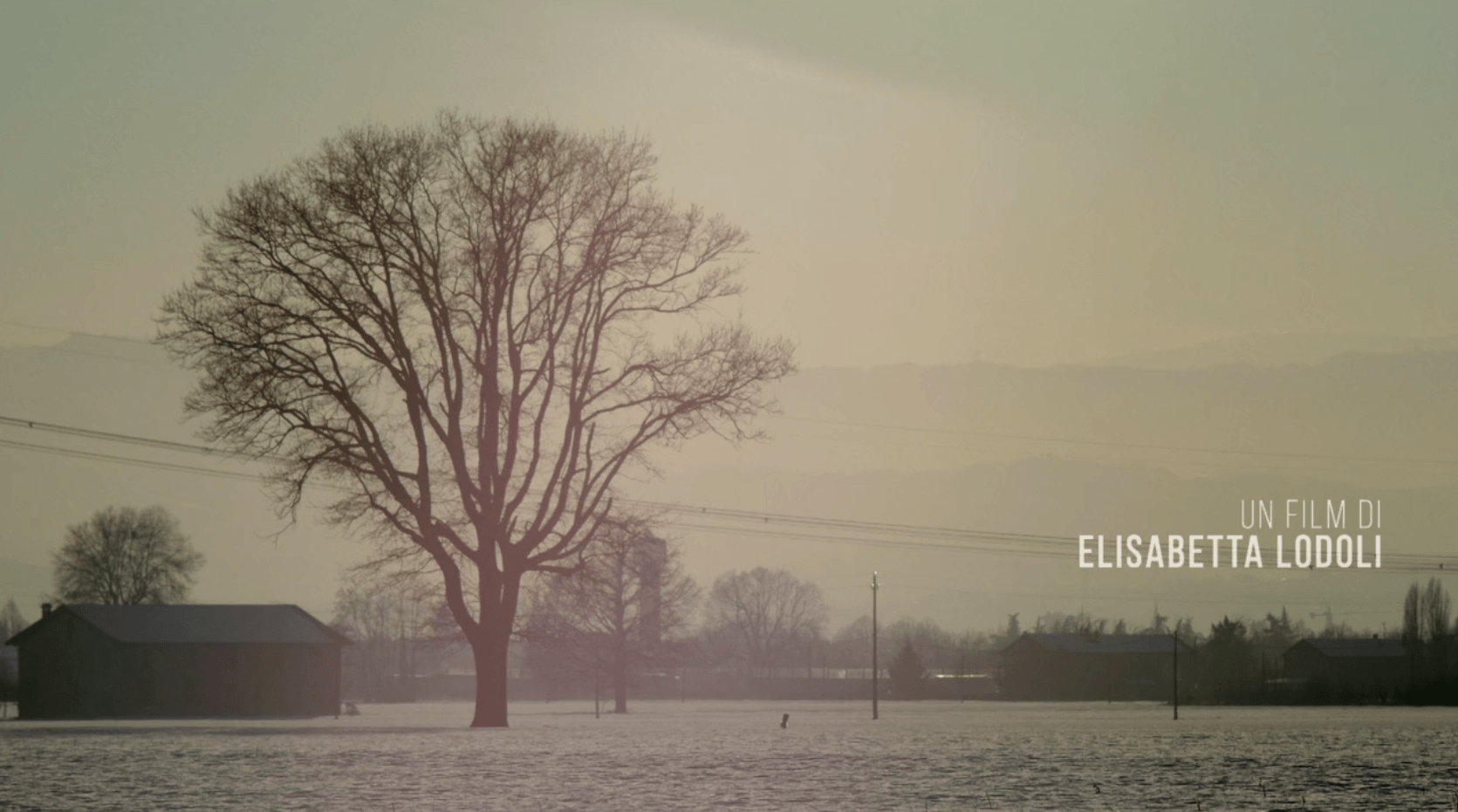 Giovedì 22 marzo alle 19, proiezione del film Ma l’amore c'entra? di Elisabetta Lodoli alla Sala Zavattini. Fondazione AAMOD in via Ostiense 106 - Roma (Centrale Montemartini).