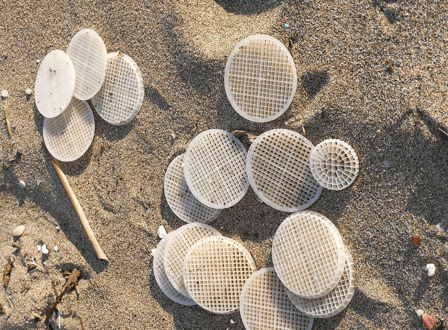 Benvenuti, Presidente Ecoitaliasolidale dopo sopralluogo "subito interventi a Torvaianica per erosione spiaggia  e presenza dischetti plastica in mare.