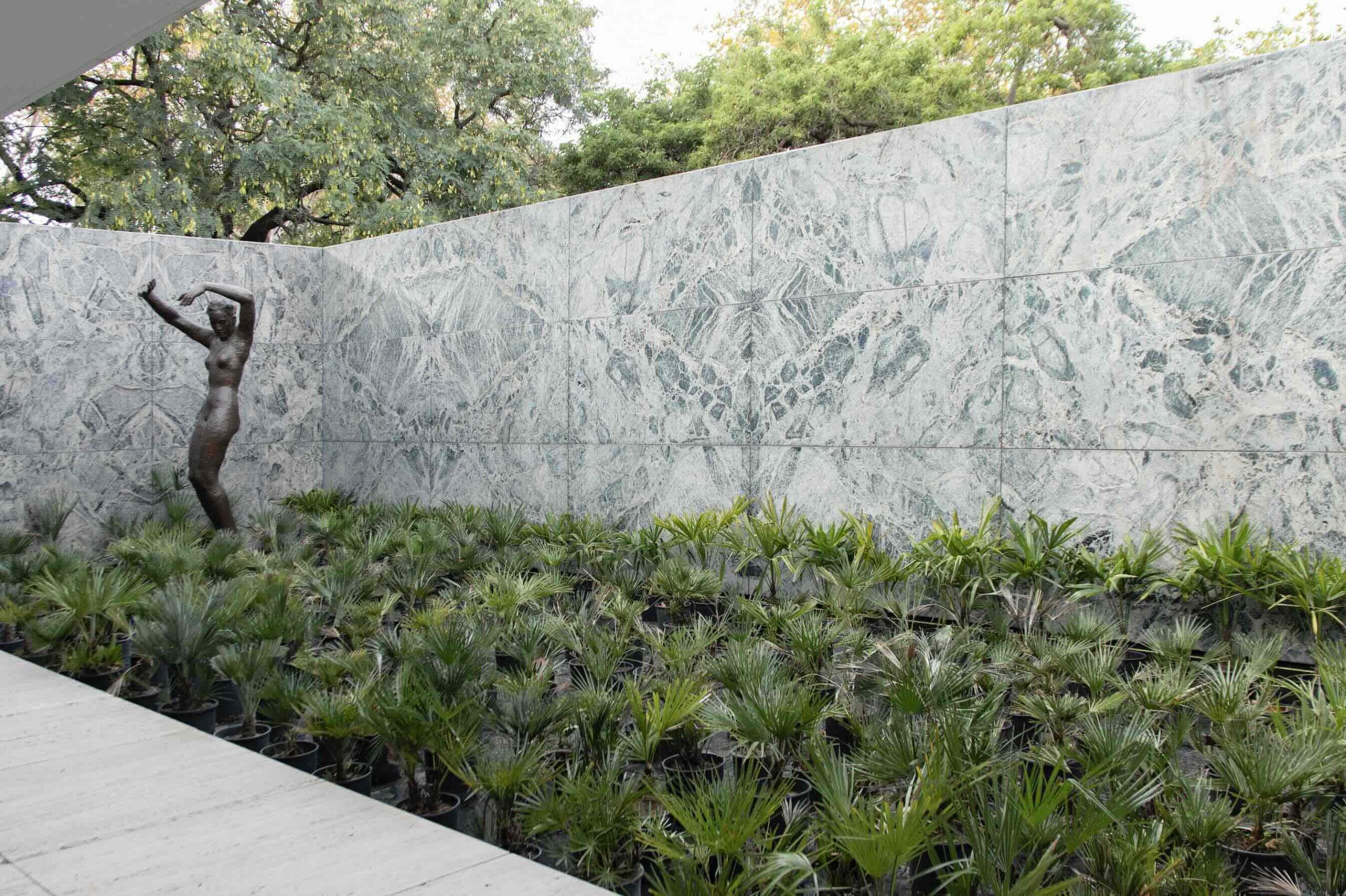 Firenze ospita la prima tappa di IMForest025, un progetto simbolico e concreto per promuovere il clima sostenibile in Europa.