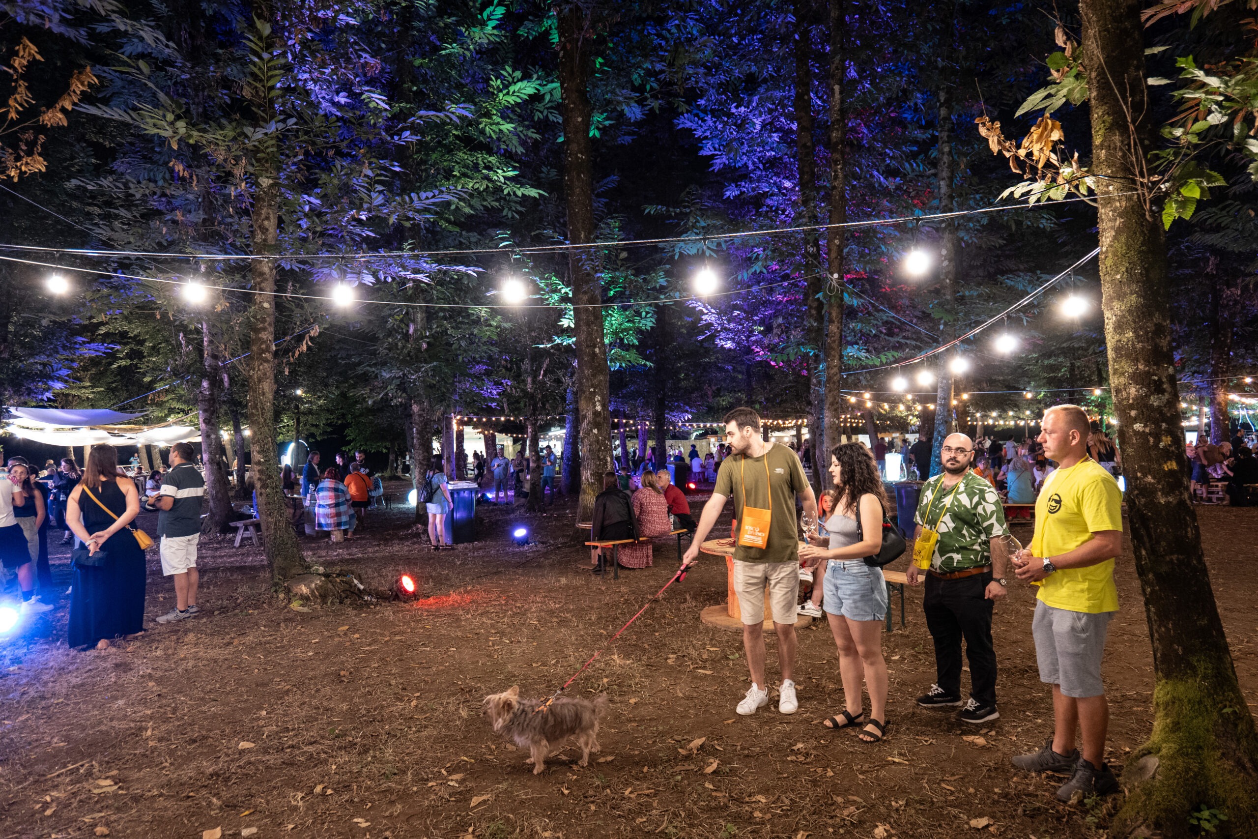 Incanto della Natura, eccellenze Made in Italy, esperienze pet - friendly sotto le stelle al Parco dei Castelli Romani a Lariano. BoscodiVino 2025 dal 17 al 20 luglio.